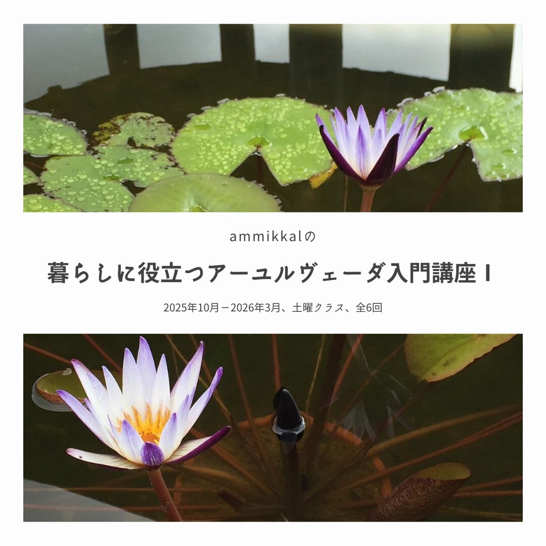 【秋開講】暮らしに役立つアーユルヴェーダ入門講座Ⅰ